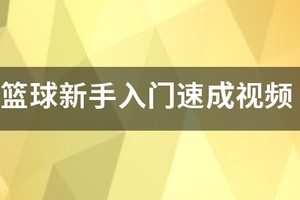 新手篮球每天训练教程视频下载